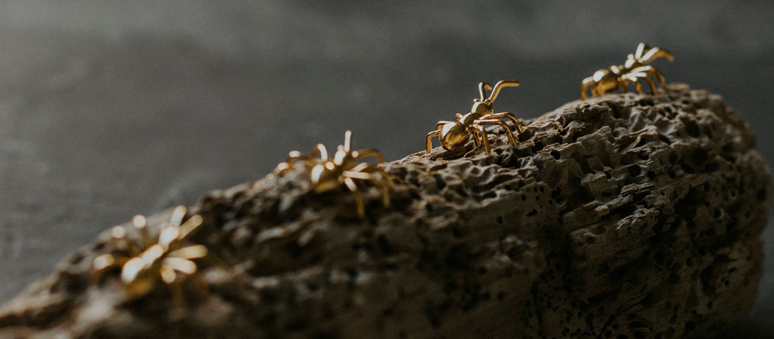 BE ANTSTOPPABLE COLLECTION